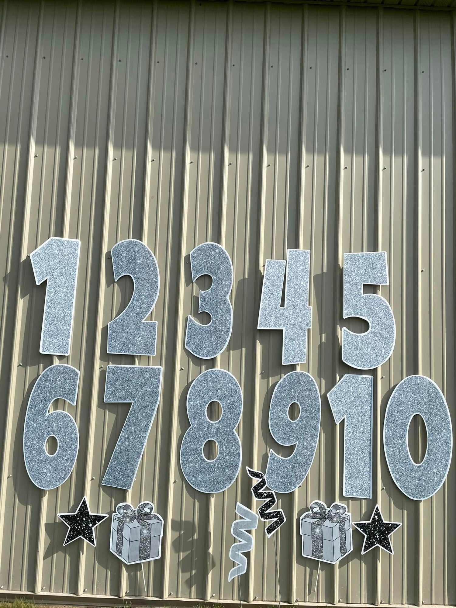 Silver Glitter Milestone Numbers 