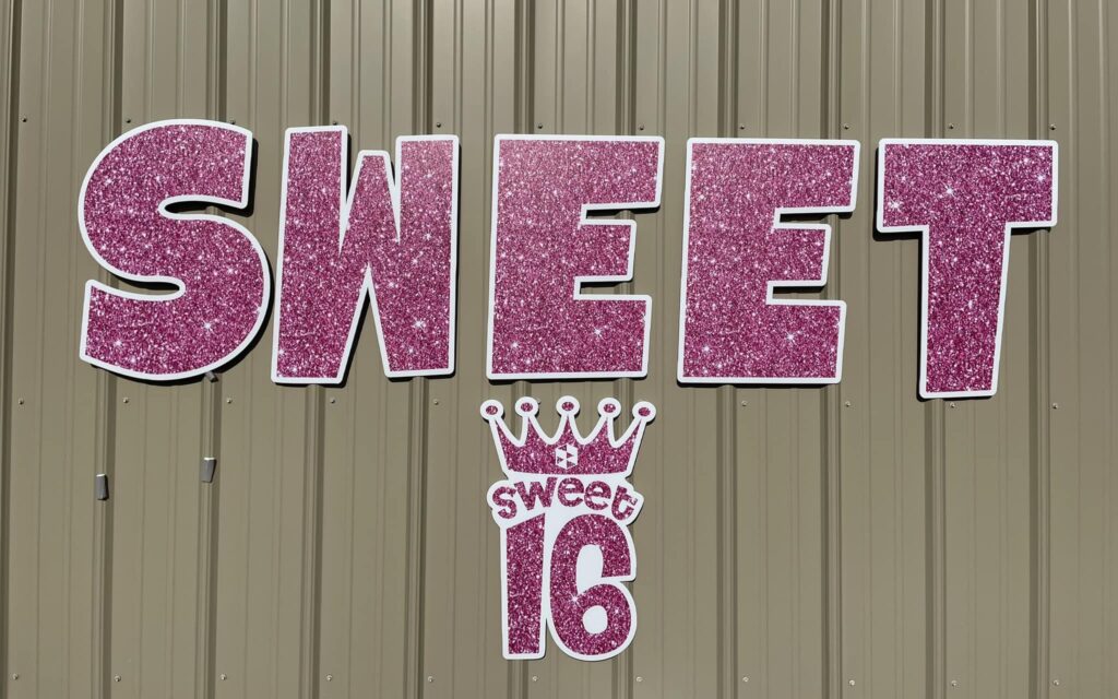 Pink sequined sweet 16 Happy Birthday