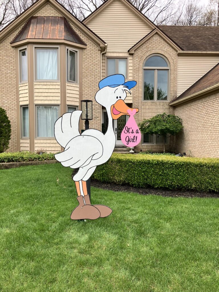 Baby Girl Stork