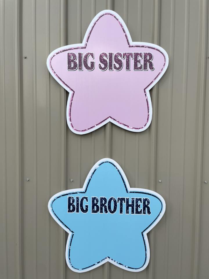 Big Sister & Big Brother Stars